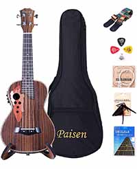 Paisen 23-inch Concert Electronic Ukulele Rosewood