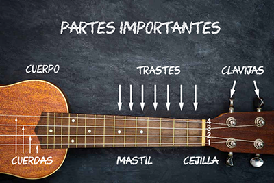 partes de un ukelele