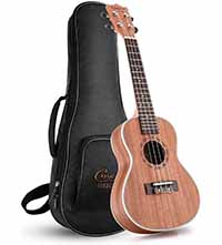 comprar ukelele concierto barato